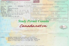 Điều kiện của study permit đối với các bạn qua Canada du học